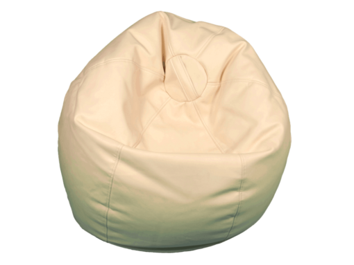 Leather Bean Bag